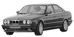 BMW E34 B3643 Fault Code